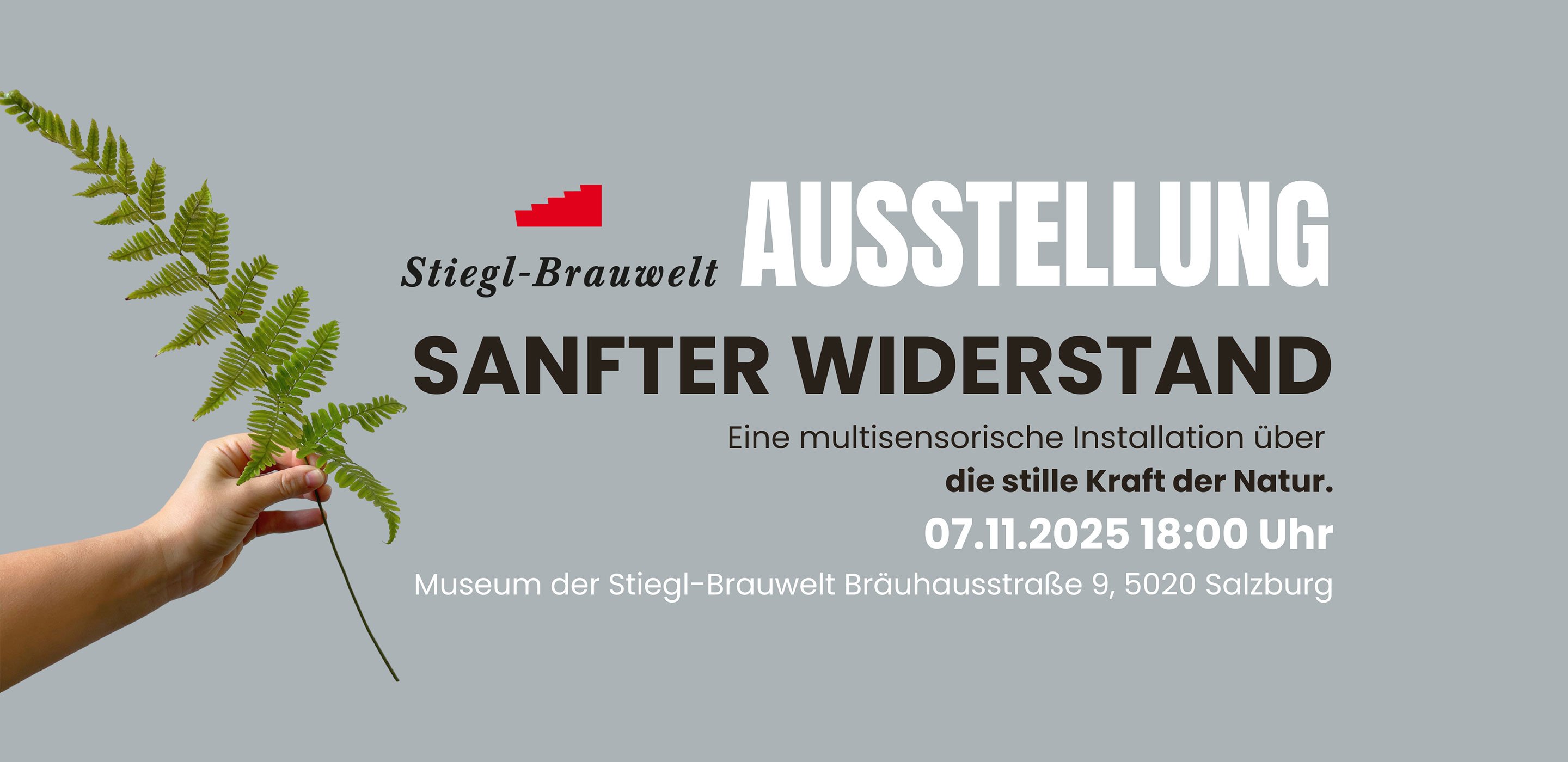 Ausstellung «Sanfter Widerstand»