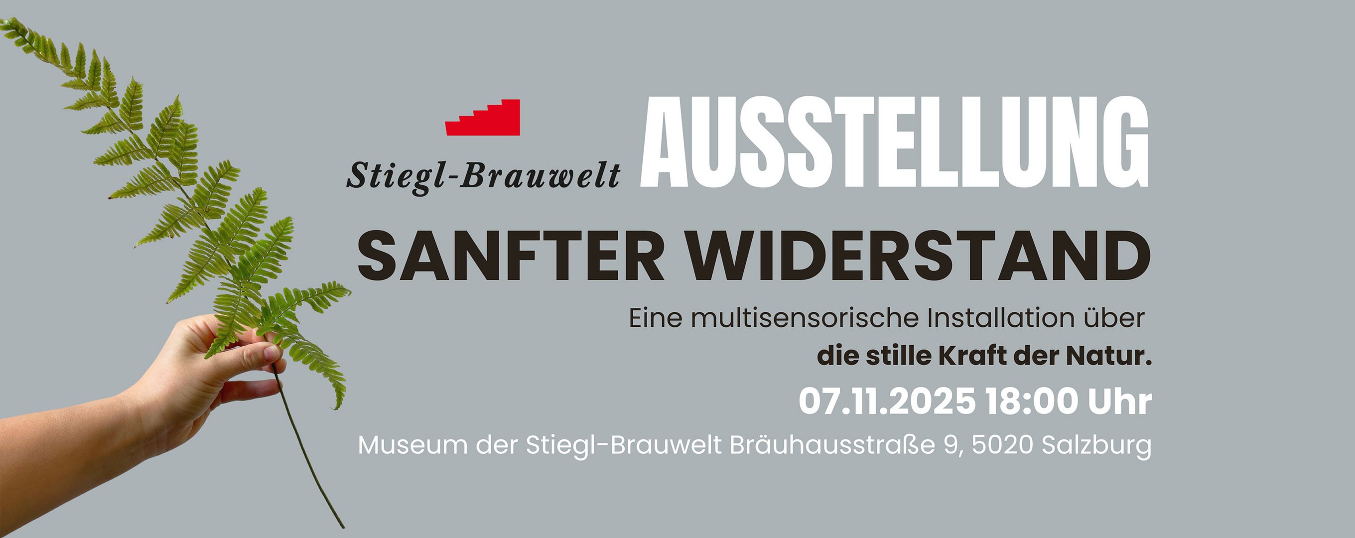 Ausstellung «Sanfter Widerstand»