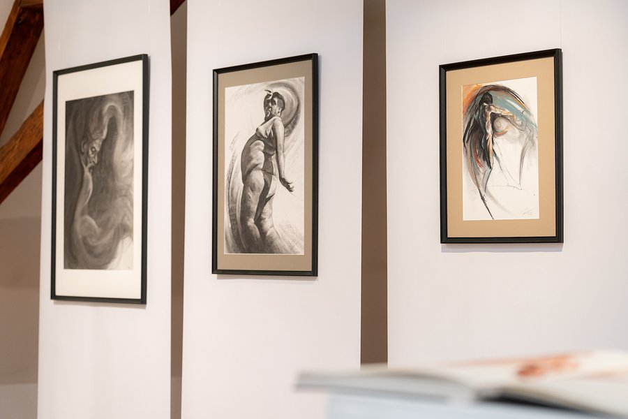 Jakob Dobaiz - Ausstellung Eigenart (Foto: Sarah Fellner)